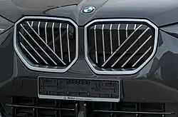 Kidney grille