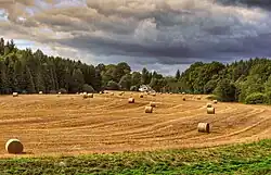 Farmland in Kilmadock areas