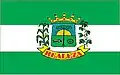 Flag of Realeza