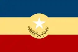 Flag of Cristóbal Rojas Municipality