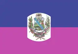 Flag of Santa Teresa del Tuy