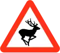 Wild animals ahead