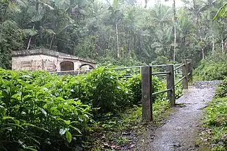 Trail in the Baño de Oro site