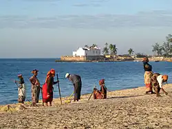 Beach cleaning