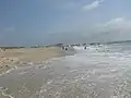 The beach adjacent to the Cape Hatteras Lighthouse, looking north