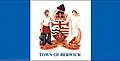 Flag of Berwick