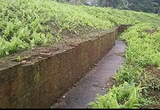 Section of the western brick wall.