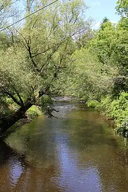 Big Wapwallopen Creek in Hollenback Township (June 2015)
