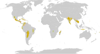 dry forest regions