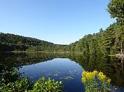 Björndammen from NE on August 15, 2020.