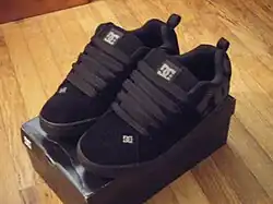 A pair of DC Court Graffik shoes