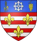 Coat of arms of Suèvres
