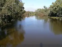 The Bogan River at Nyngan