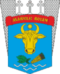 Coat of arms of Boiany
