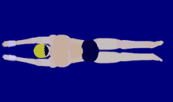 Top view of the breaststroke