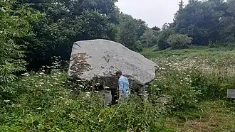 Size in comparison to an adult