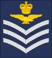 Flight sergeant aircrew (Royal Air Force)[19]