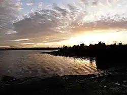 Broadmeadow Estuary in Winter