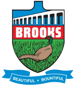 Official logo of Brooks