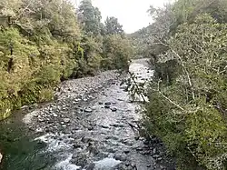 A shallow rocky river surrounded by forest