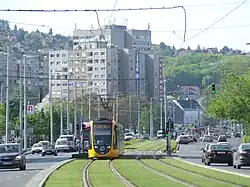 Grassed tramway track in Budapest, Hungary
