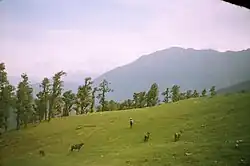 Bugyal on the way to Tungnath