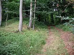 Burgwall Utzedel&nbsp;[de] in Utzedel