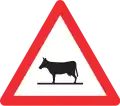 1.25 Animals on road