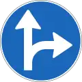 2.40 Must continue straight ahead or turn right