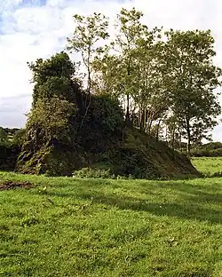 The ruins of Caherhurley Castle, near Bodyke