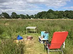Knepp Wildland camping field