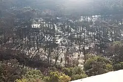 Remains of the campsites at the foot of the dune.