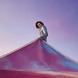 A worm's eye view photo of Jenkins pulling up a colorful tapestry from the ground