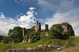 Photo of the ruin of Castle Lyons