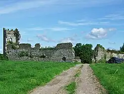 Kenry Castle at Shanpallas, near Pallaskenry
