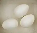Glossy white eggs
