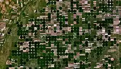 Satellite view of Lewis and surrounding center-pivot irrigation farms (2005)