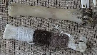 Tapestry bones actually made from cannonbones (those in the last image are wooden)