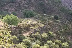 «Ճգնավորի քար անապատ» («Գյոլում բուլաղ») Chgnavori Kar Anapat Monastery