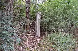 Chōrakusan Haiji ruins