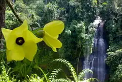Cimandaway waterfall at district Dayeuhluhur, at Cikawalon River West Cilacap.[32]