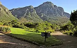 Kirstenbosch National Botanical Garden