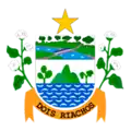 Official seal of Dois Riachos