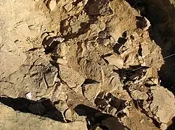 Photo taken from above at the Cueva Des-Cubierta site.
