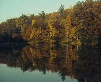 Trees in autumn colors reflected in a smooth lake