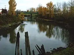 A stream about 40 feet (12&nbsp;m) wide flows between raised banks lined with trees with yellow leaves. In a few places, wooden posts poke above the water. In the distance, a bridge crosses the stream.