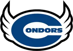 Team logo