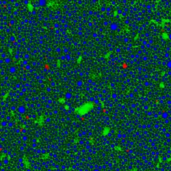 Chemical Imaging of a pharmaceutical emulsion with confocal Raman microscopy.