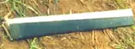 The left side leading edge that separated from the airframe; found on the day of the accident