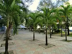 Polytechnic University of Puerto Rico in Ciudad Nueva